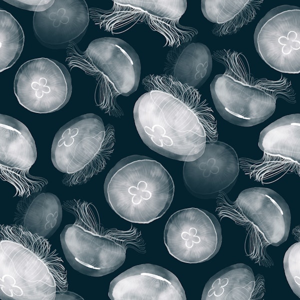 Translucent Moon Jellyfish - teal blue