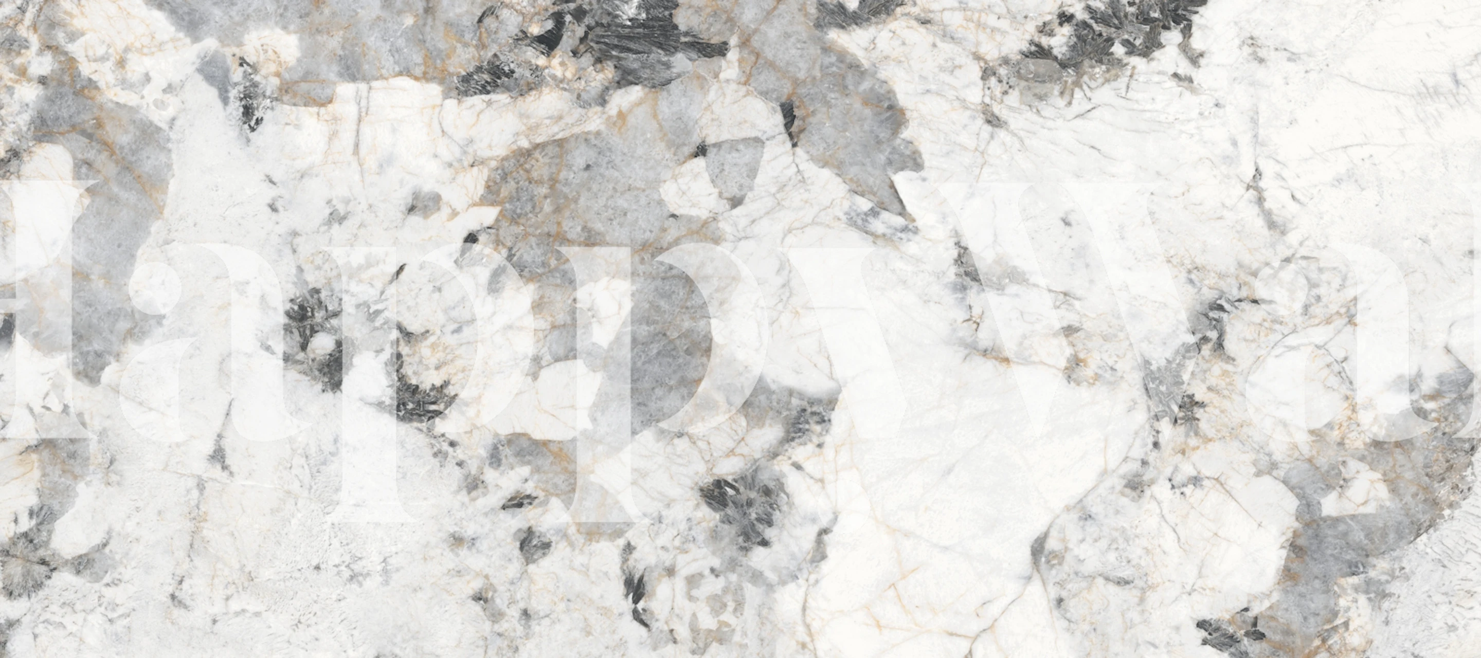 Wallpaper en marbre blanc dans une pièce