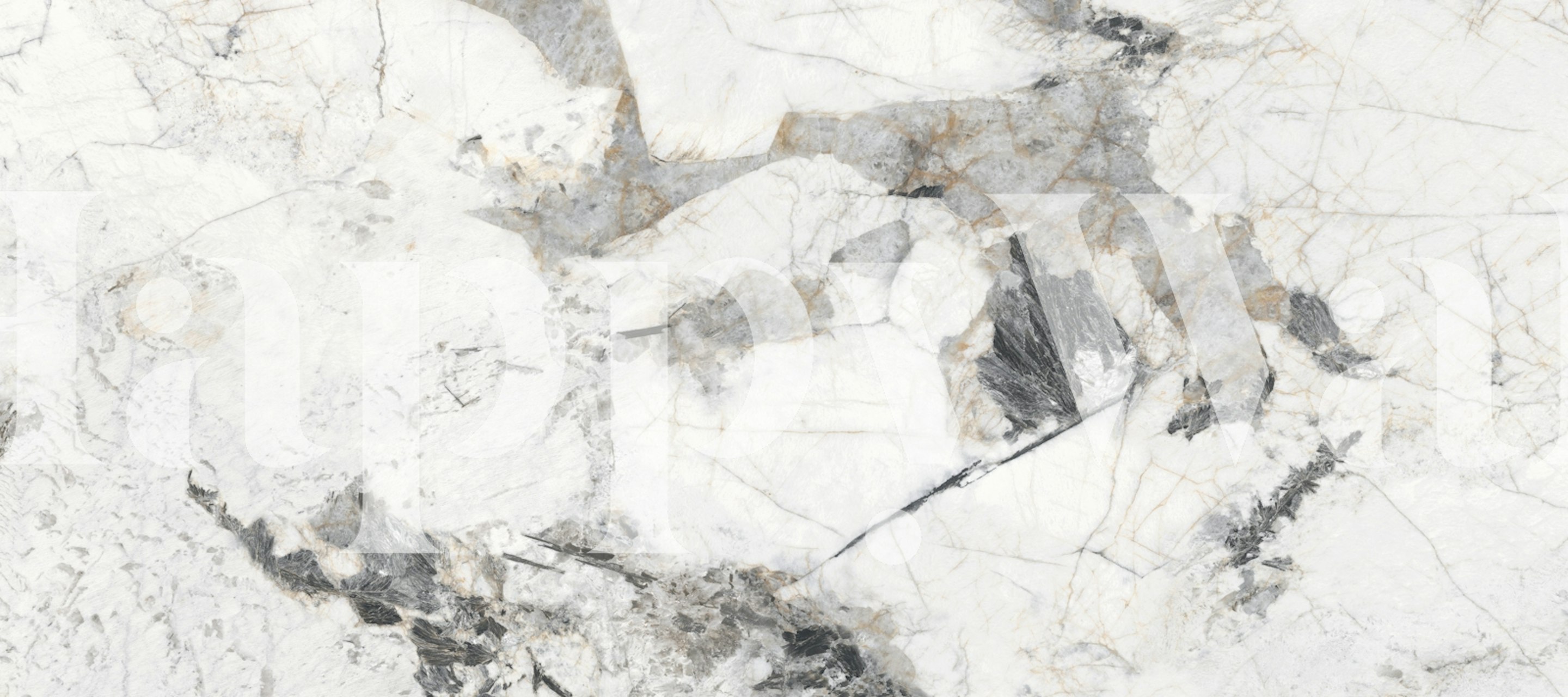Arabescato Breccia Marble wallpaper in a room