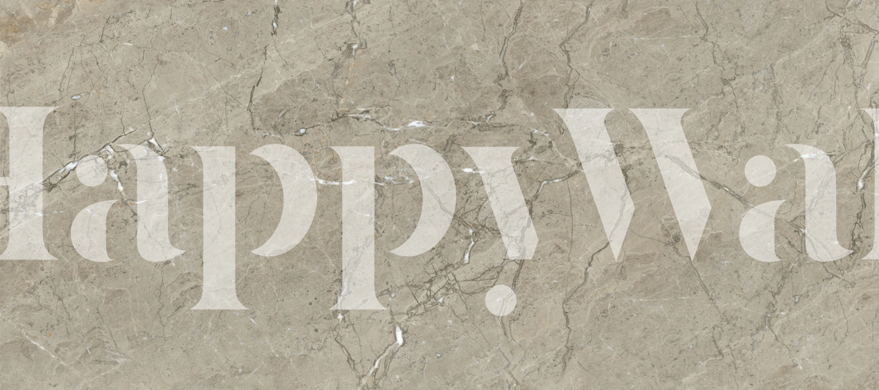 Elegant Marble Finish tapet i et rom