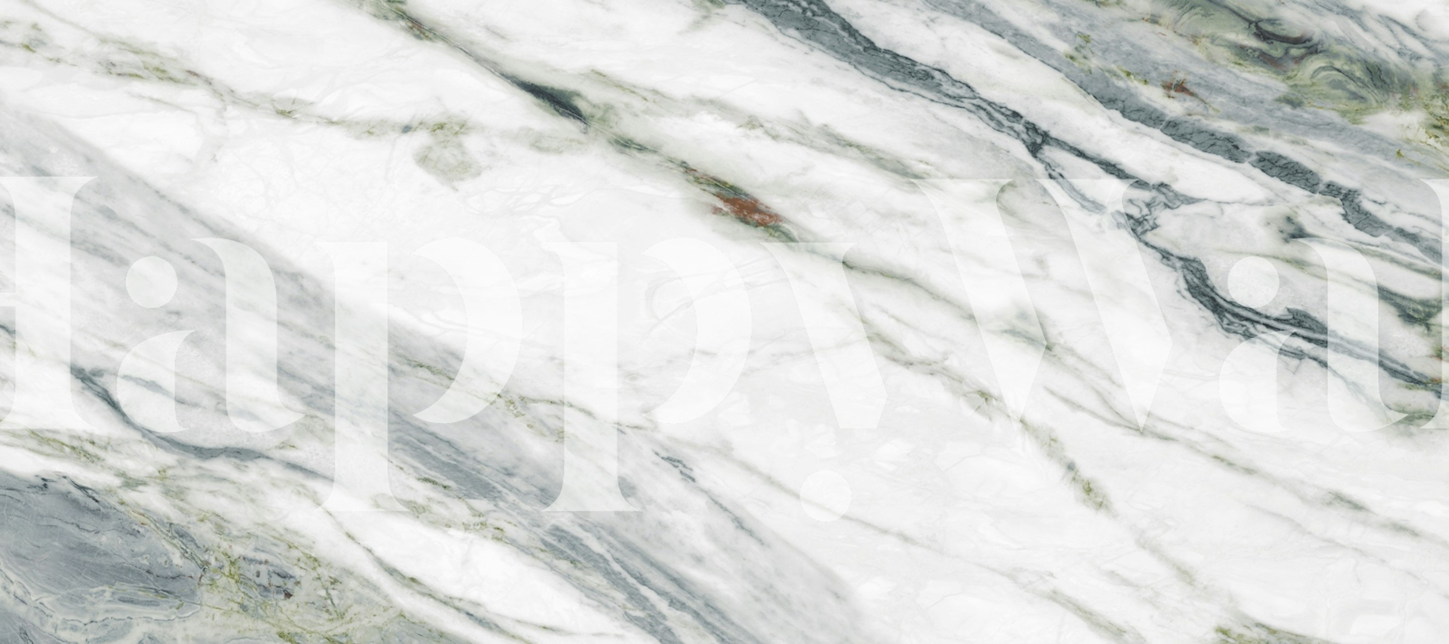 Verde Calacatta Marble behang in een kamer