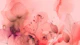 Serenity Blossom Dream Vibrant Tones