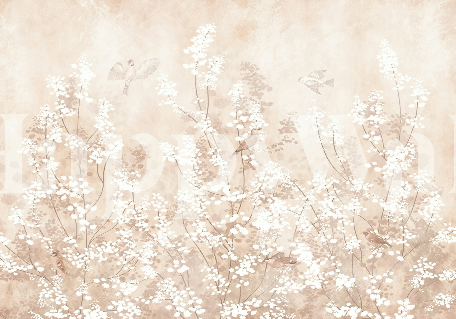 Design tapetů Delicate Birds and Flowers