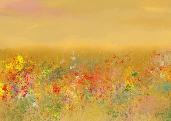 Sunset Field Serenity