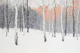 Birch Forest Painting