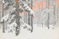 Serene Winter Forest tapeet