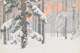 Serene Winter Forest