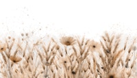 Magical Dream Meadow sparkled papiers peint