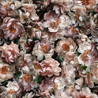 Magical Midnight-Floral 1 papiers peint