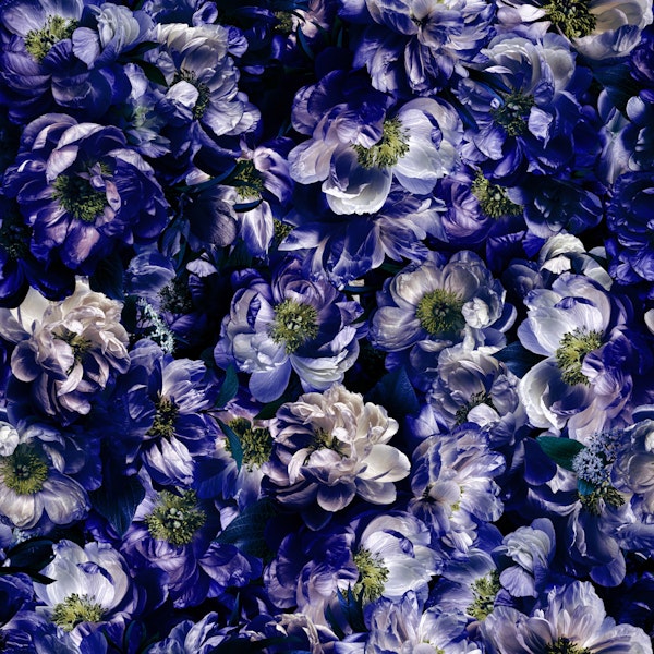 Magical Midnight-Floral 2