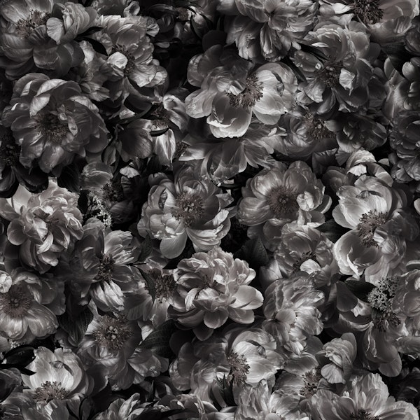 Magical Midnight-Floral 3