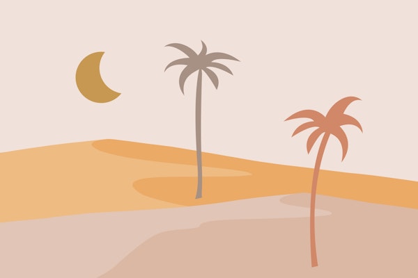 Desert Night Graphic
