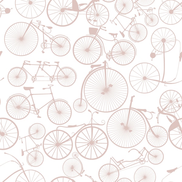 Vintage Bicycle Harmony