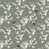 Lemon Grove Birds - Mint tapete