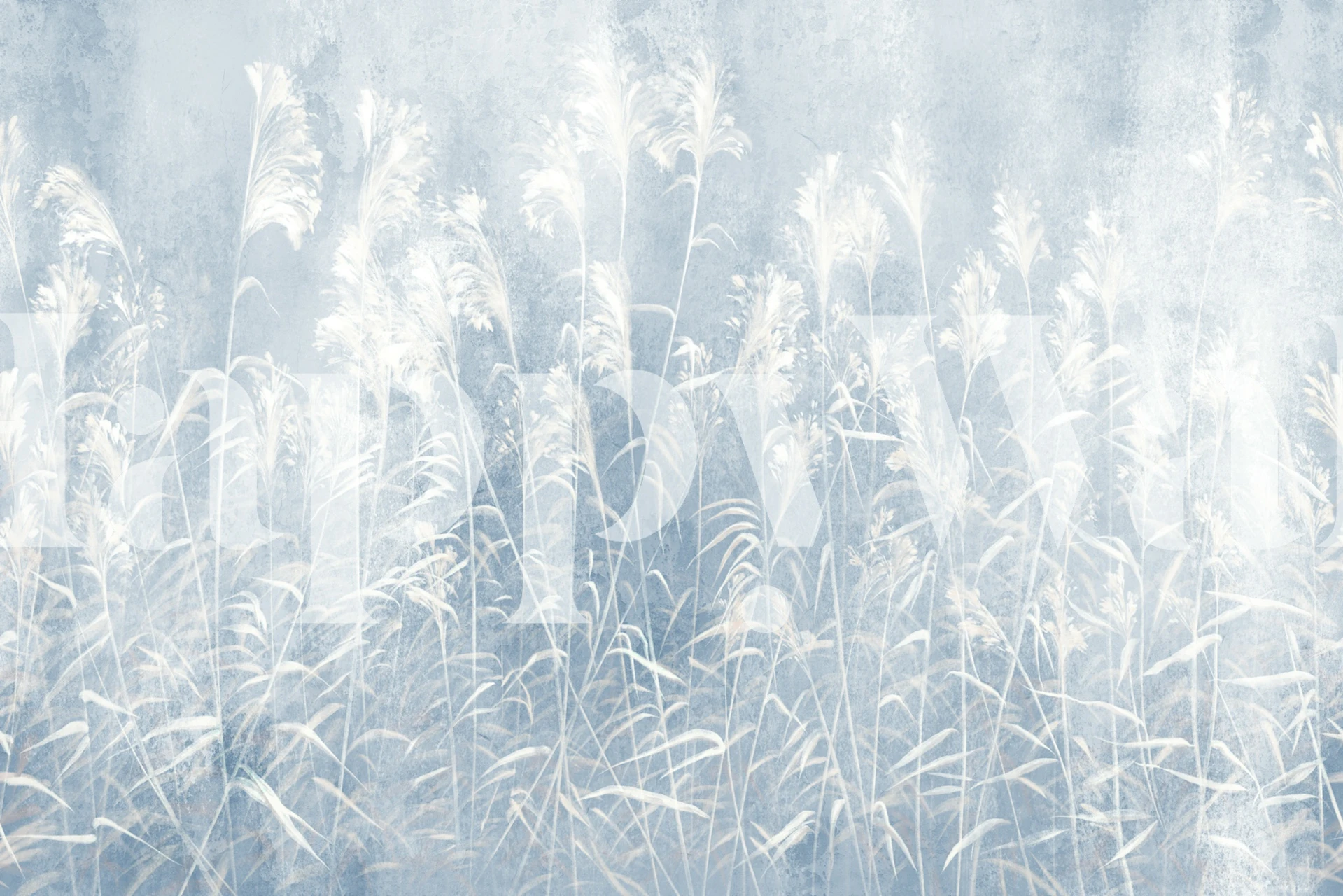 Delicate white floral patterns on a soft blue background wallpaper