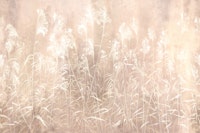 Silent Meadow 7 papel pintado