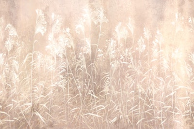 Mural