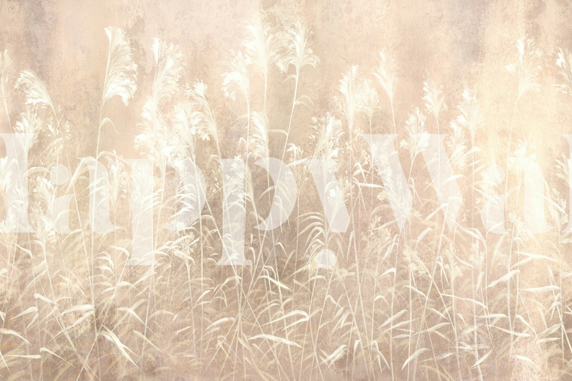 Design tapety Silent Meadow 7 v místnosti