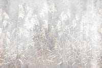 Silent Meadow 8 wallpaper