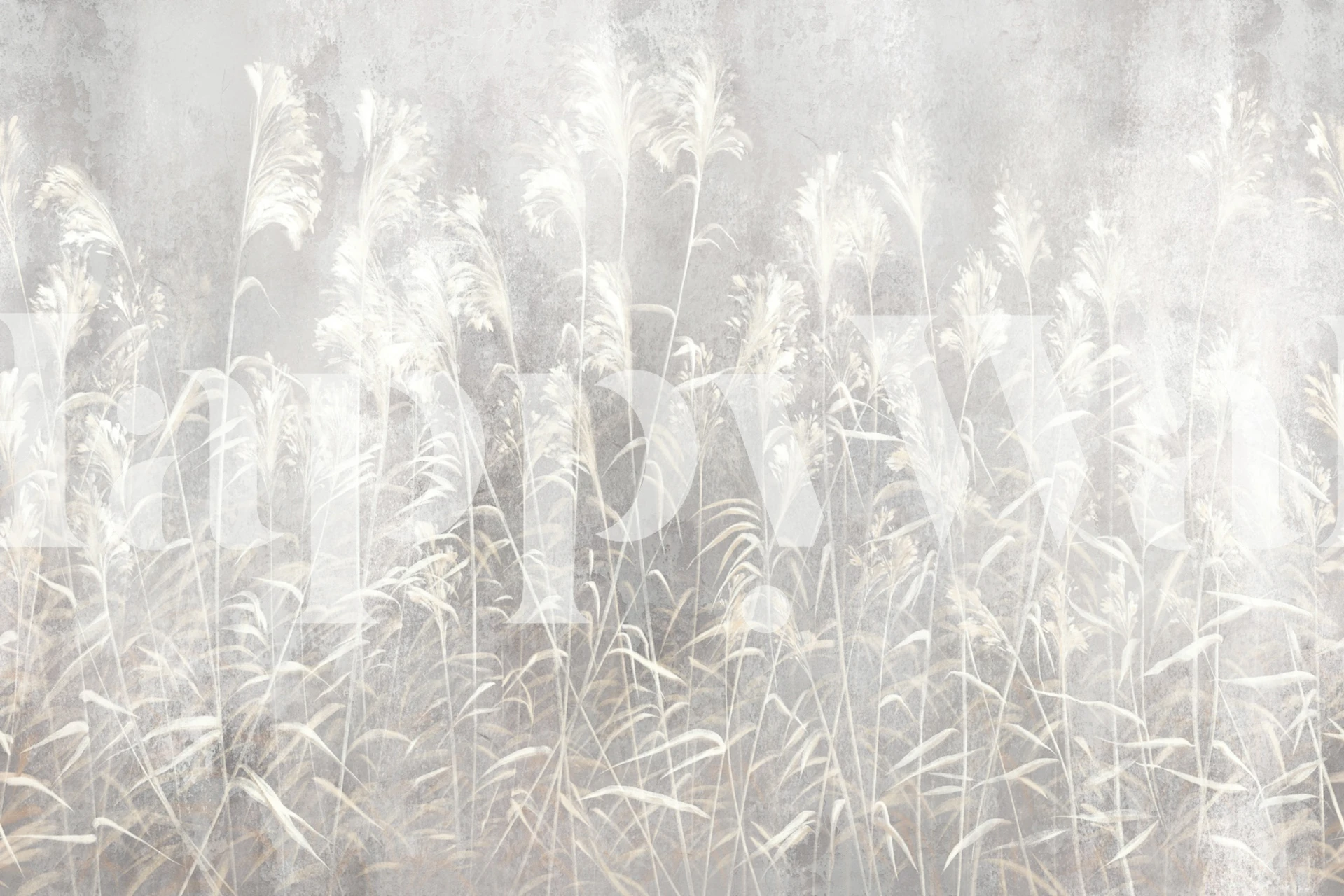 Delicate white grasses on neutral background wallpaper