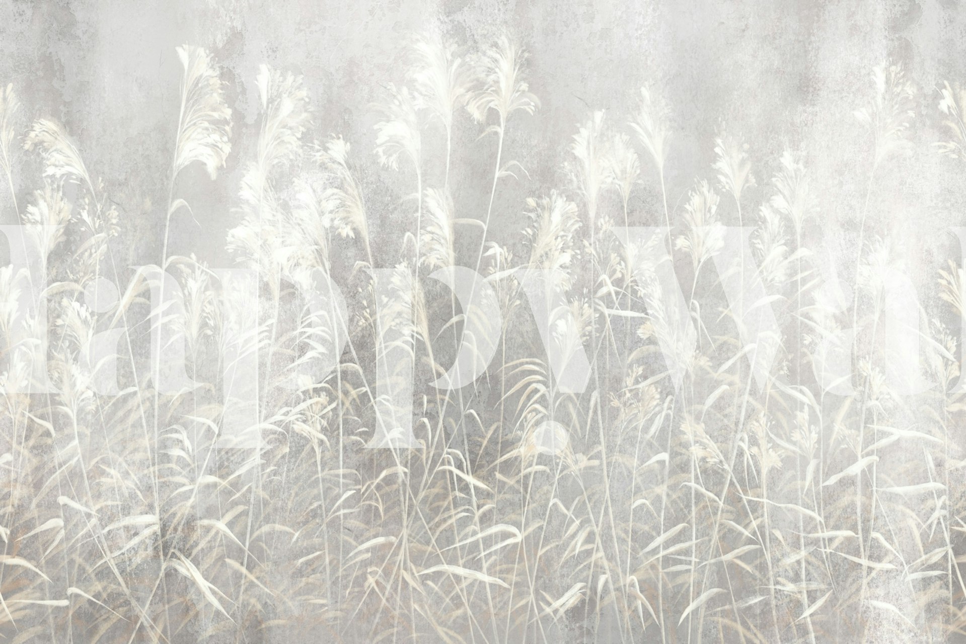 Silent Meadow 8 tapeta v místnosti