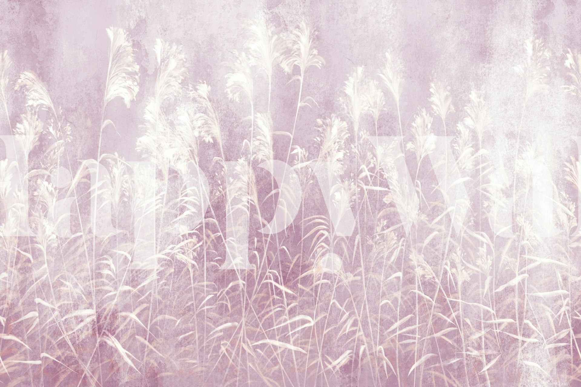 Silent Meadow 9 wallpaper in a room setting