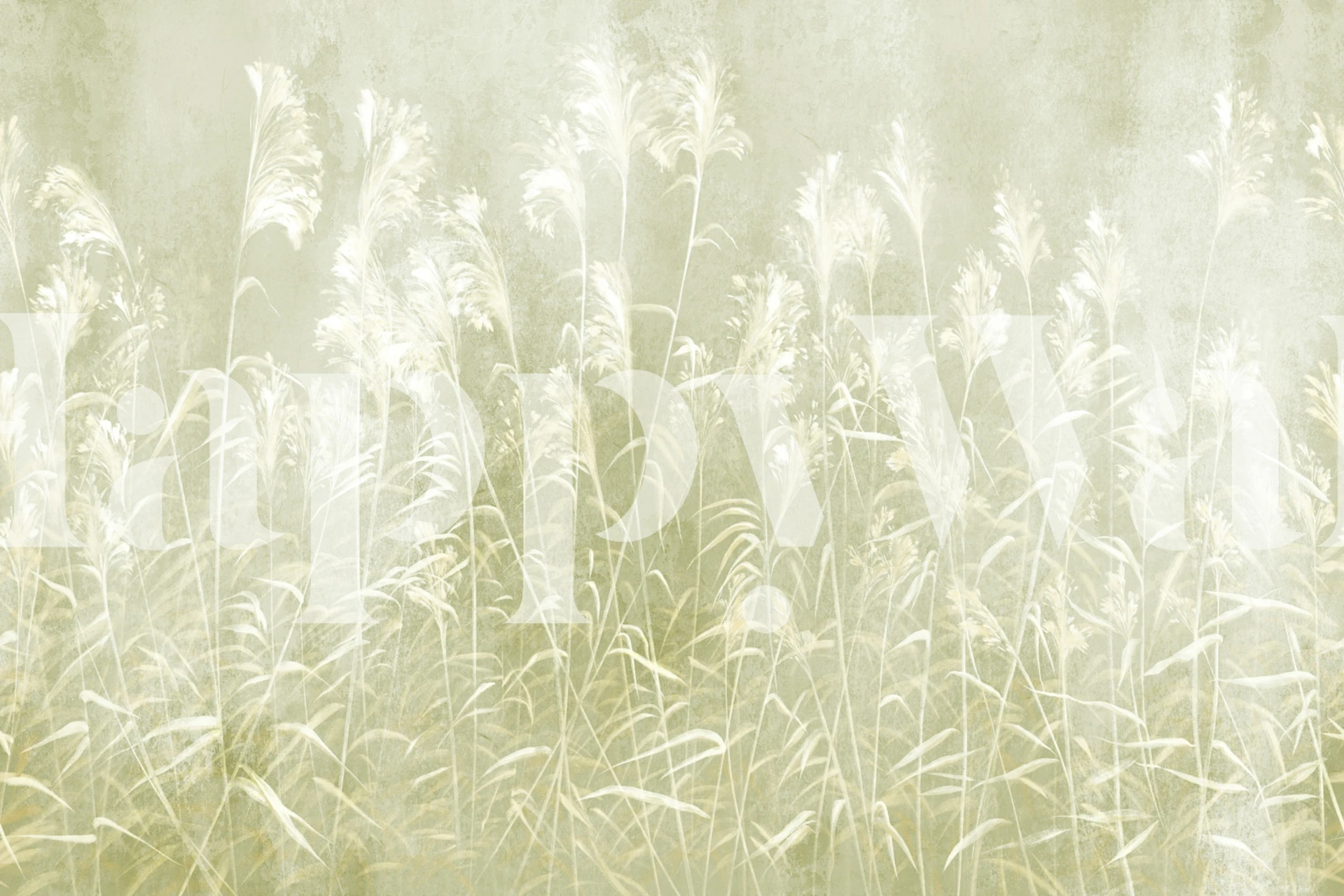 Silent Meadow 10 papel pintado en una habitación