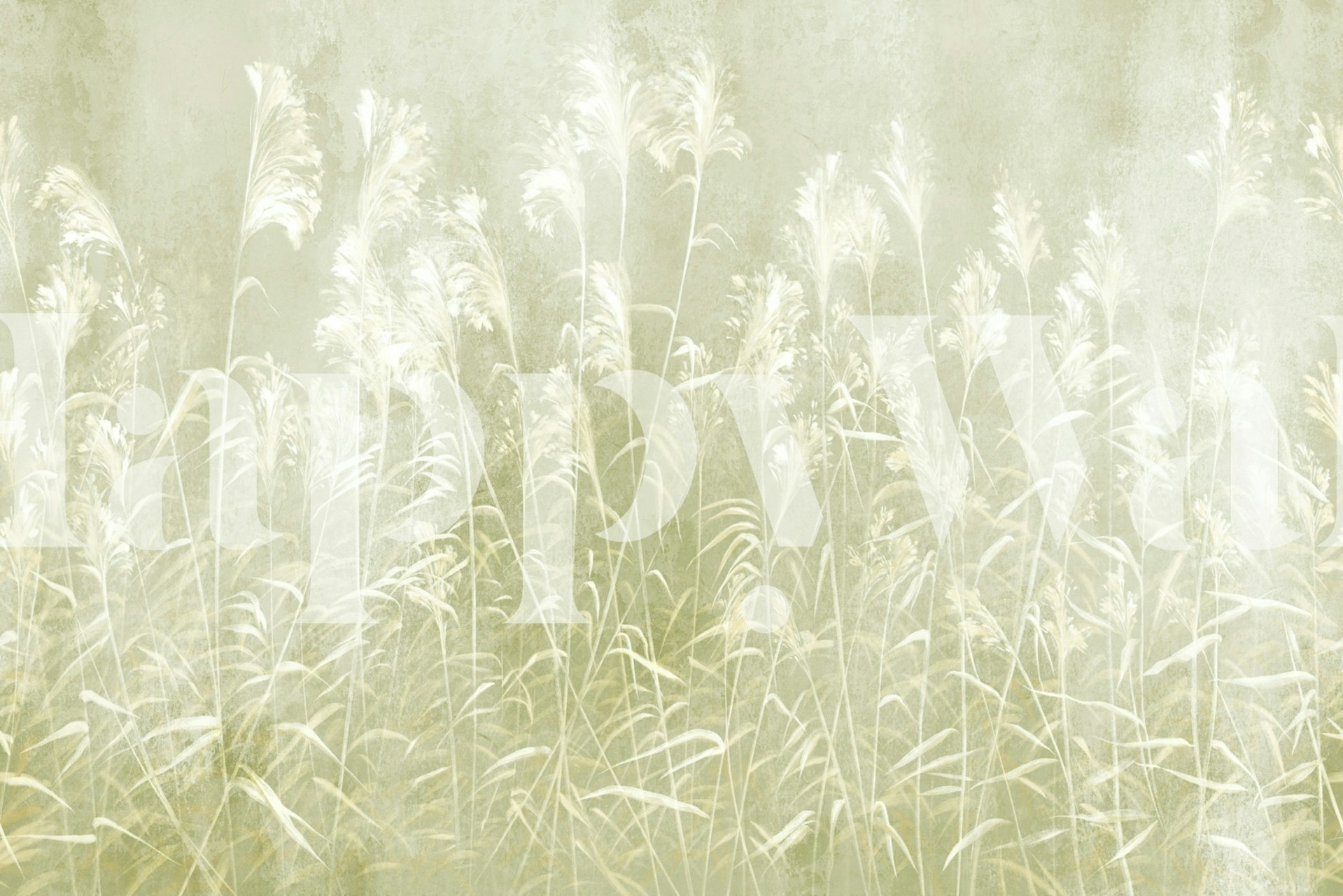 Silent Meadow 10 tapeta v místnosti