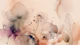 Serenity Blossom Dream Soft Blush