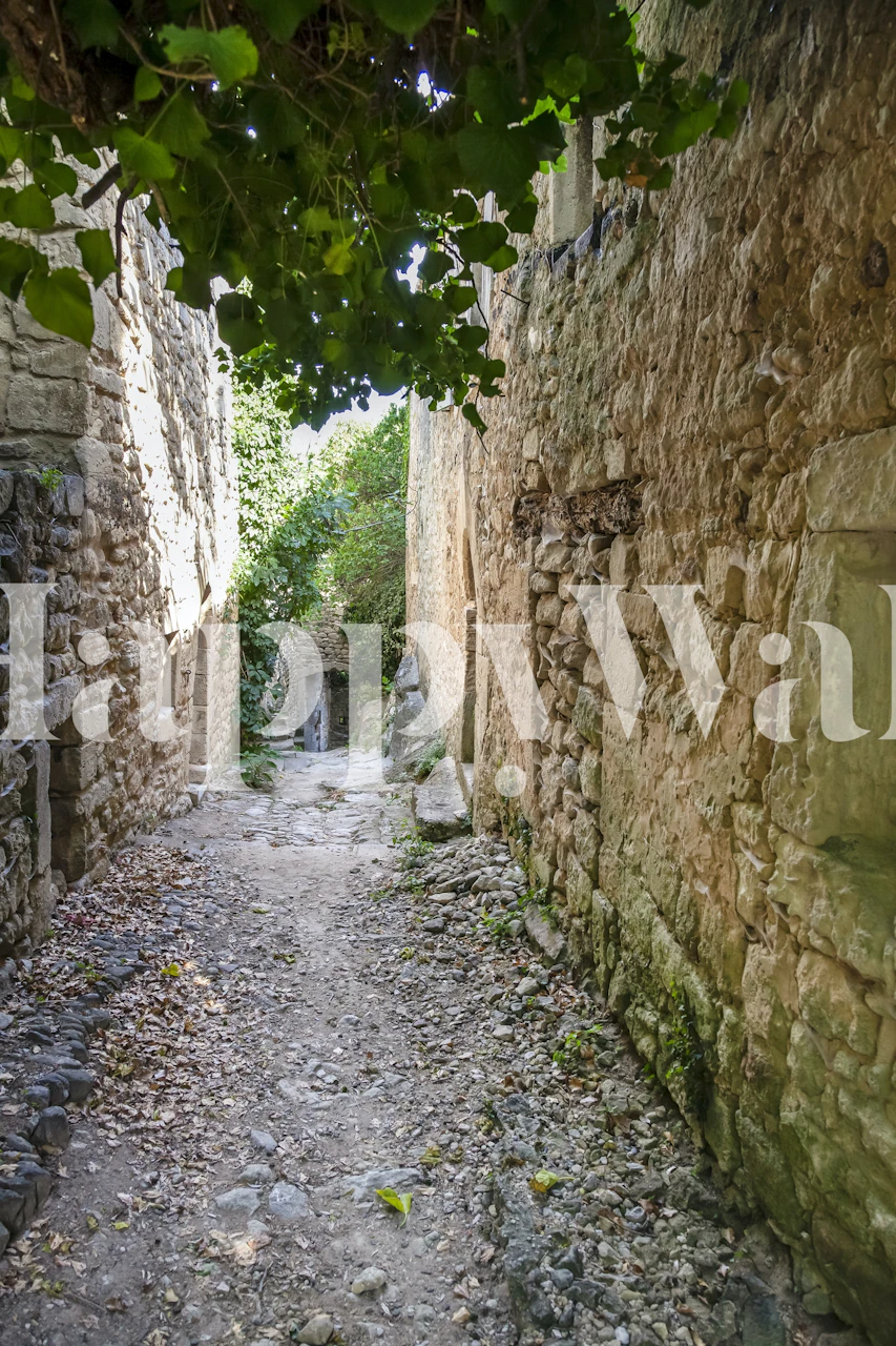 Narrow path through a rustic village