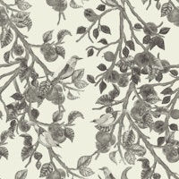 Persimmons Graphite wallpaper