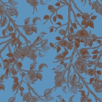 Persimmons in Blue and Sienna wallpaper