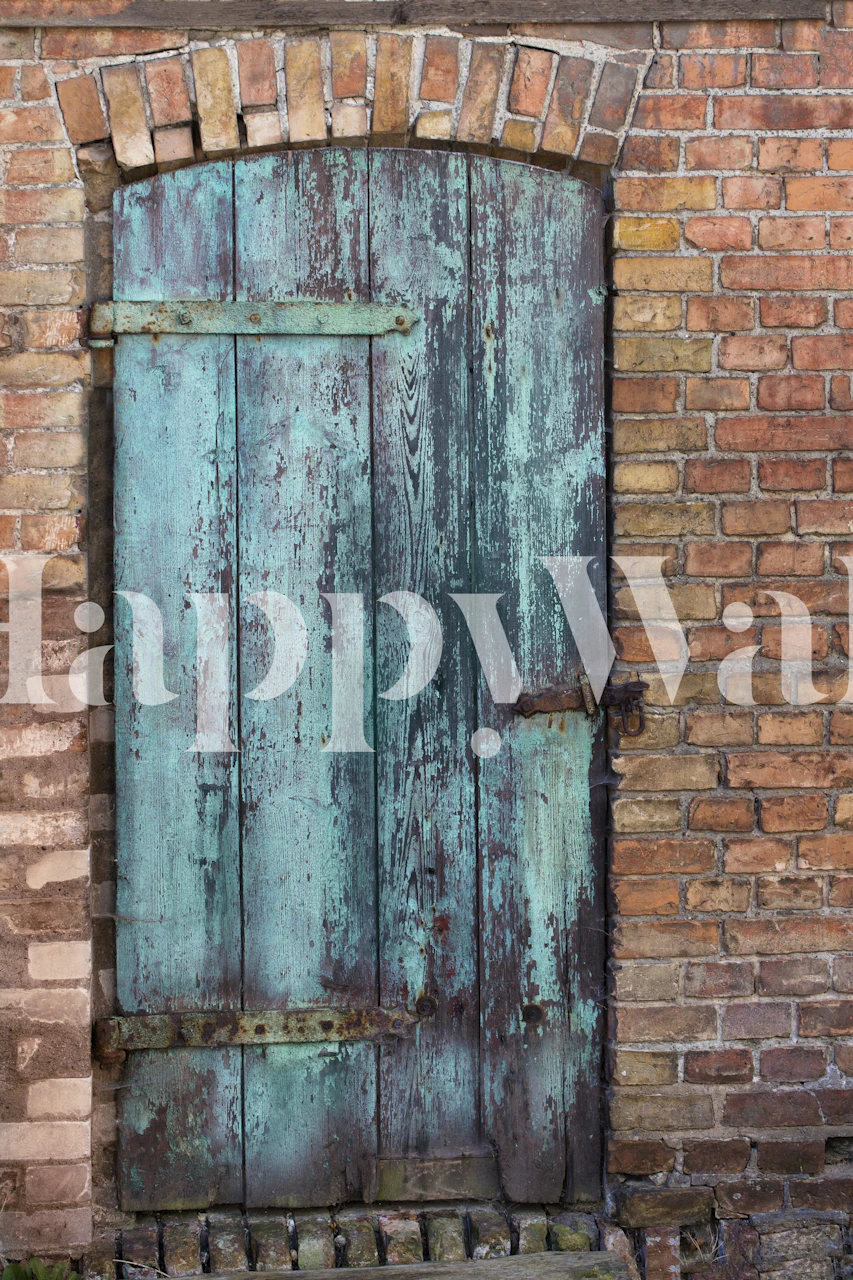 Old Door wallpaper design on a wall