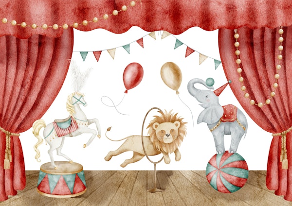 Animal Circus Show
