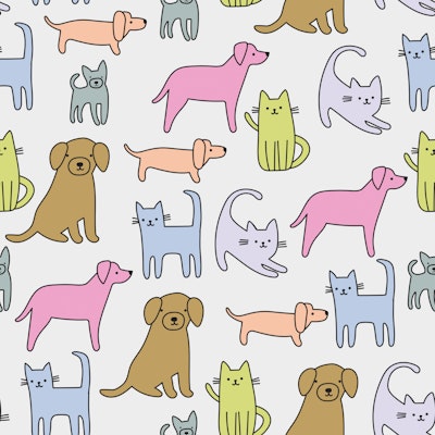 Pattern