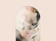 Soft Petal Serenity