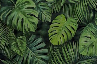 Mural