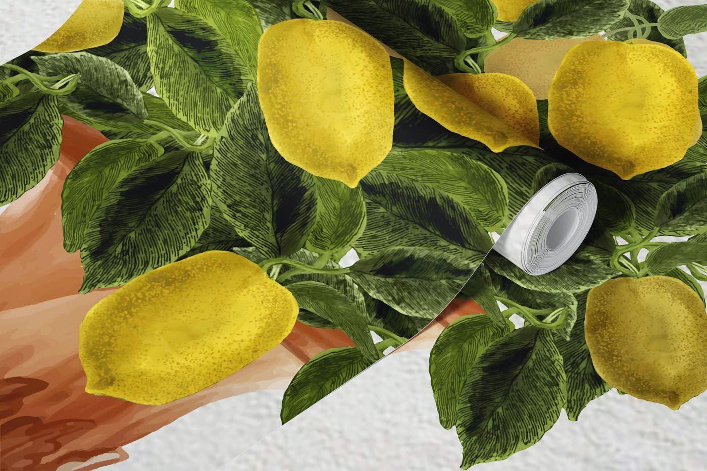Vintage Lemons & Urn on Whitewashed Wall wallpaper roll