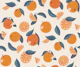 Mediterranean Oranges - Juicy Kitchen Fruit