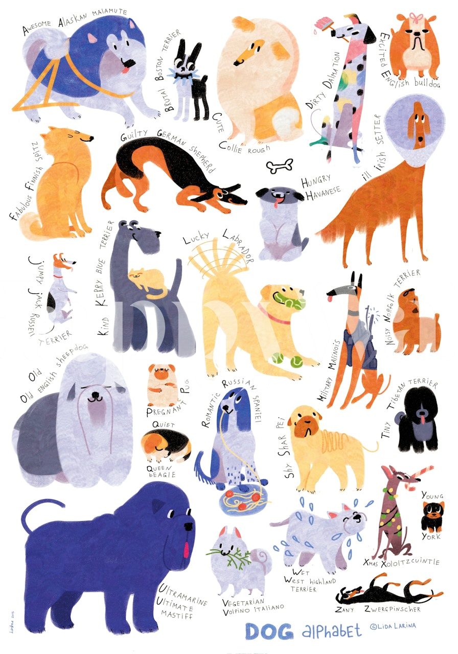 Charming Dog Alphabet Art wallpaper in a room