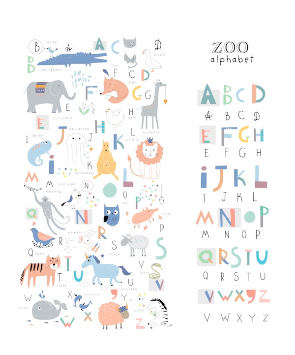 Fun Colorful Zoo Alphabet