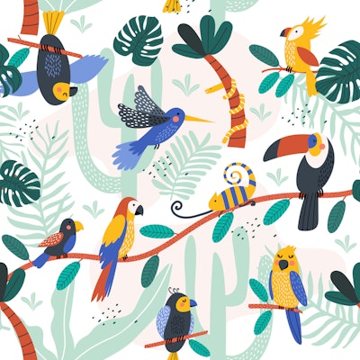 Pattern