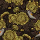 Redstarts in the chrysanthemums in brown