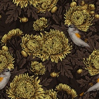 Redstarts in the chrysanthemums in brown wallpaper