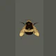 Bumblebee Joy - Khaki Green