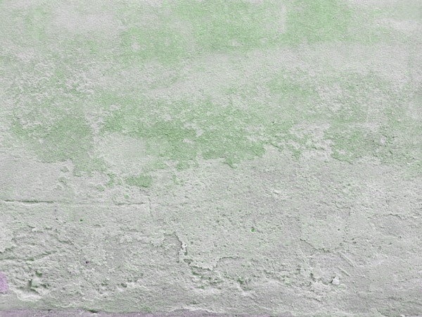 Rustic Plaster08