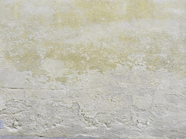 Rustic Plaster10