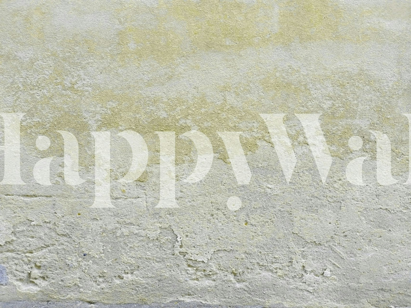 Rustic plaster wallpaper in a room setting