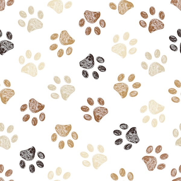 Animal paw tracks delight