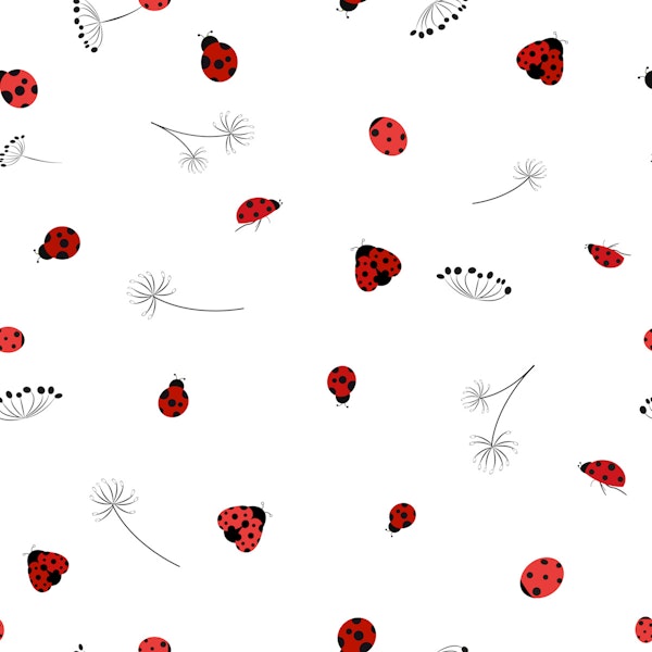 Lady bug and dandelion